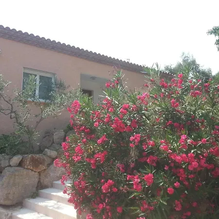 Villa Belle Piscine Campagne Au Calme Autignac (Herault)