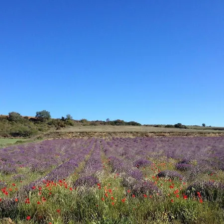 Villa Belle Piscine Campagne Au Calme Autignac (Herault)
