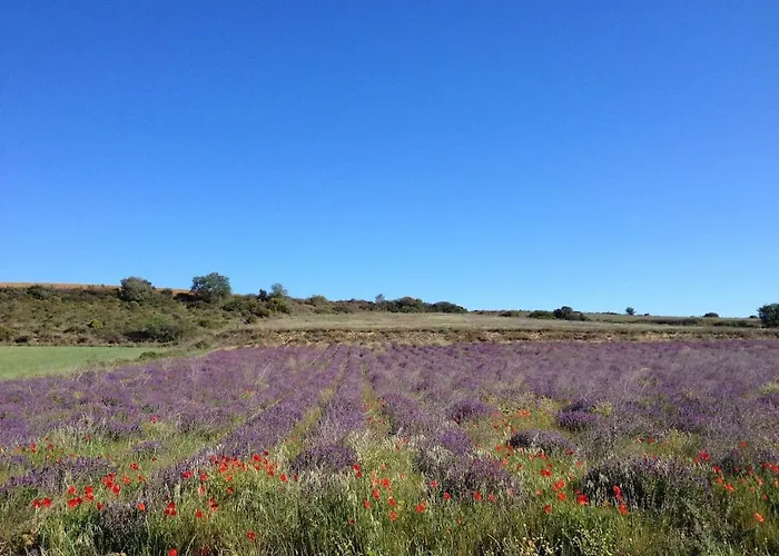 Вилла Belle Piscine Campagne Au Calme Autignac (Herault)